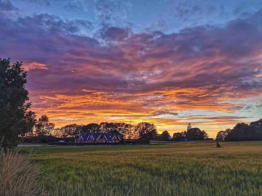 Apartamento Kongsholmlund. Enjoy The Countryside. Vejby Exterior foto